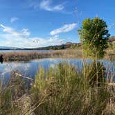 Review photo of Upper Campground - Pahranagat National Wildlife Refuge by Patricia N., September 24, 2024