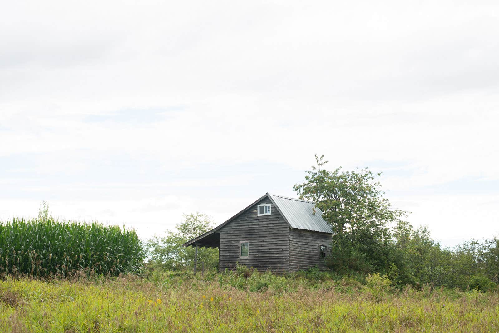 The Dyrt's photo of glamping accommodations at Pearl Brook Farm Overlook near Sargentville, ME