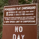 Review photo of Ponderosa Flat Campground by Patricia N., September 24, 2024