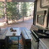 Review photo of Ponderosa Flat Campground by Patricia N., September 24, 2024