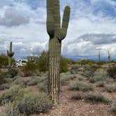 Review photo of Lost Dutchman State Park Campground by Patricia N., September 24, 2024