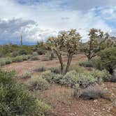 Review photo of Lost Dutchman State Park Campground by Patricia N., September 24, 2024