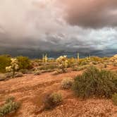 Review photo of Lost Dutchman State Park Campground by Patricia N., September 24, 2024