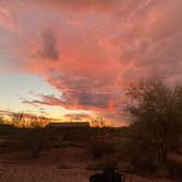 Review photo of Lost Dutchman State Park Campground by Patricia N., September 24, 2024