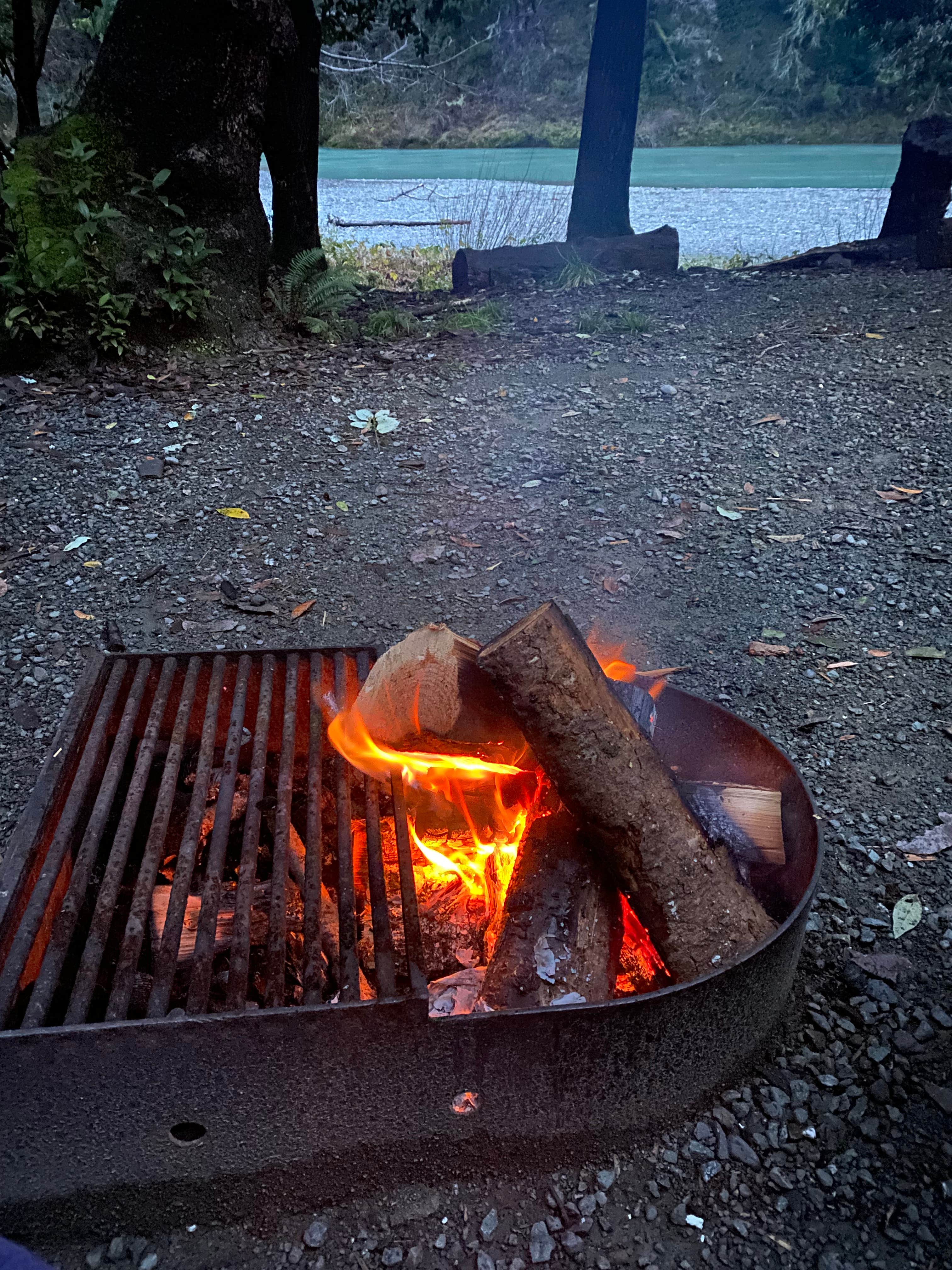 Camper-submitted photo at Alfred A. Loeb State Park Campground near Smith River, CA