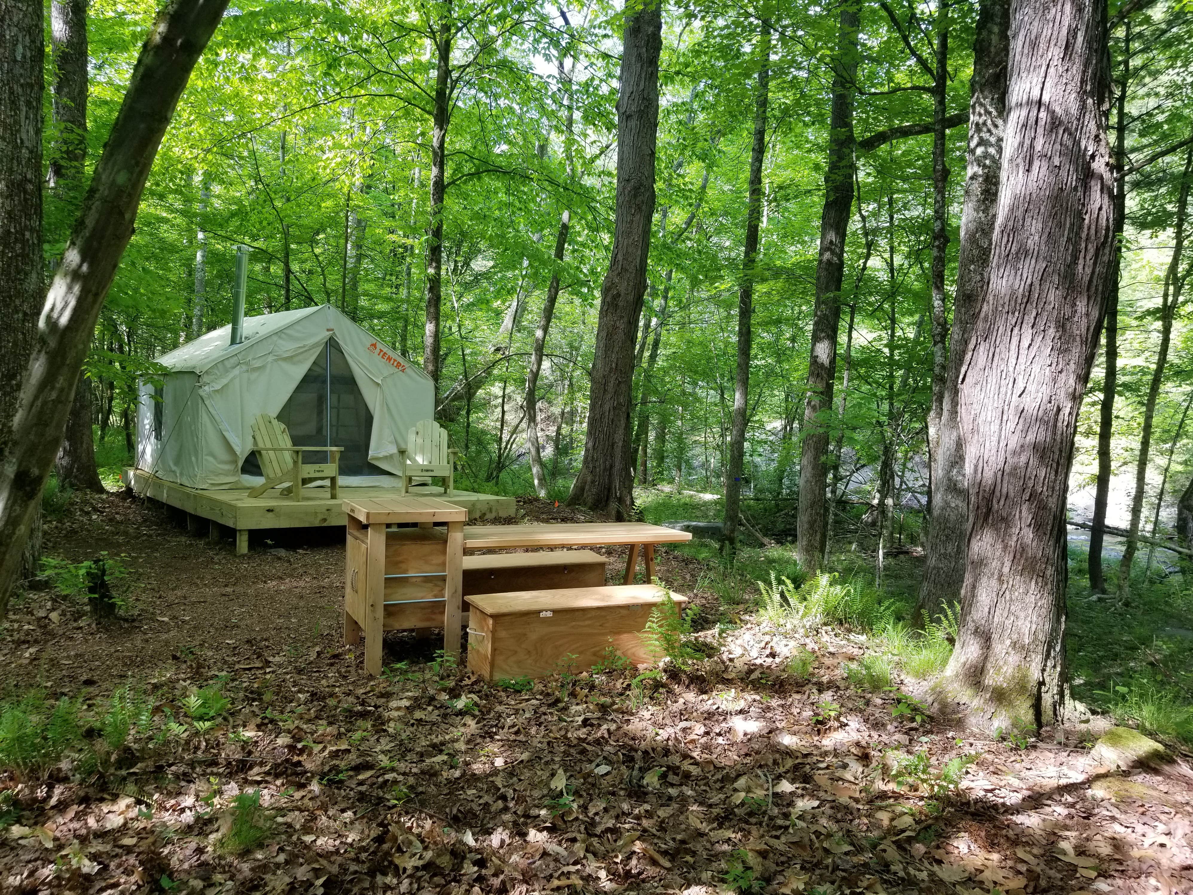 The Dyrt's photo at Sweet Stream Sanctuary near Glenmont, NY
