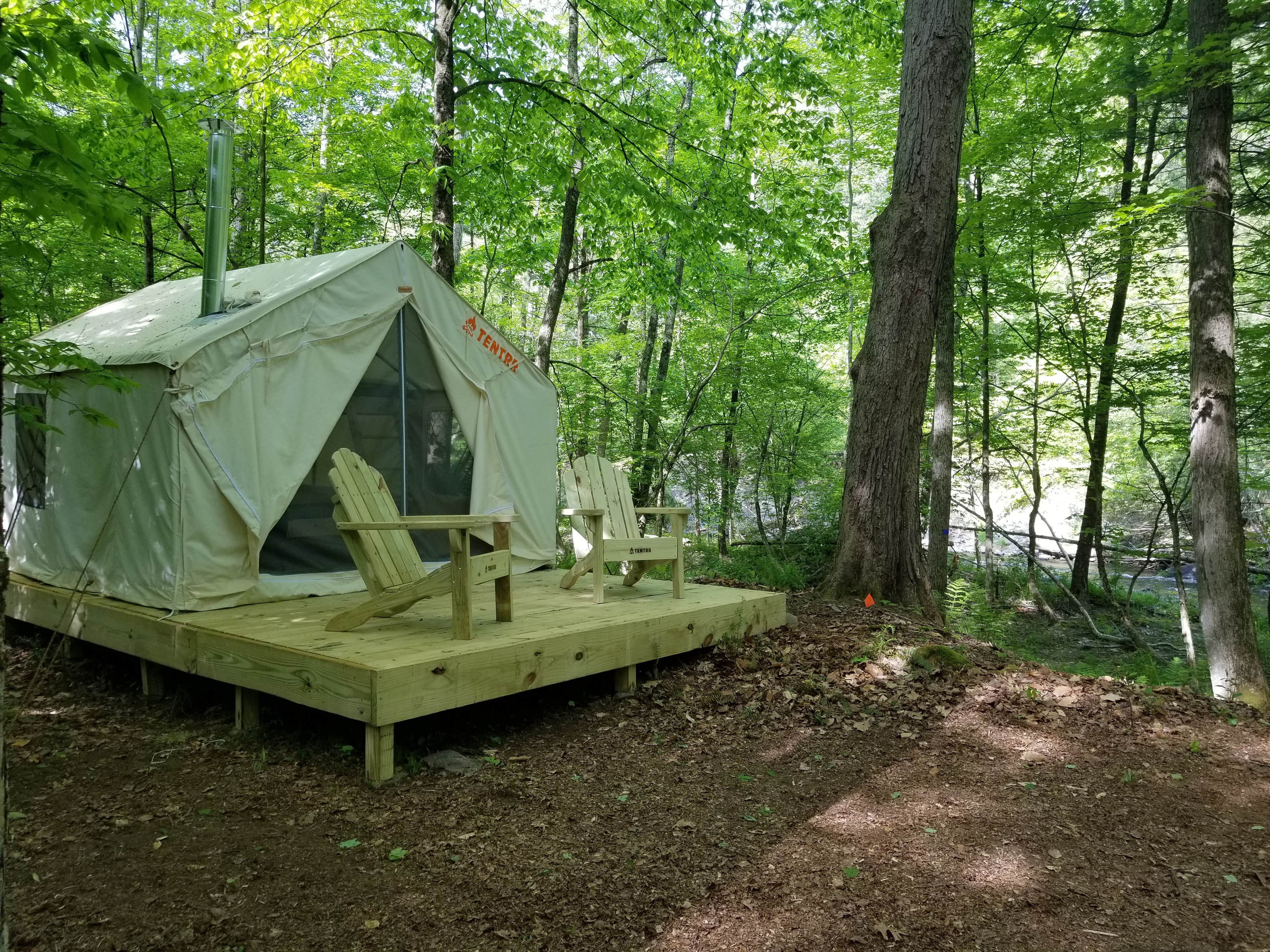 The Dyrt's photo at Sweet Stream Sanctuary near West Stockbridge, MA