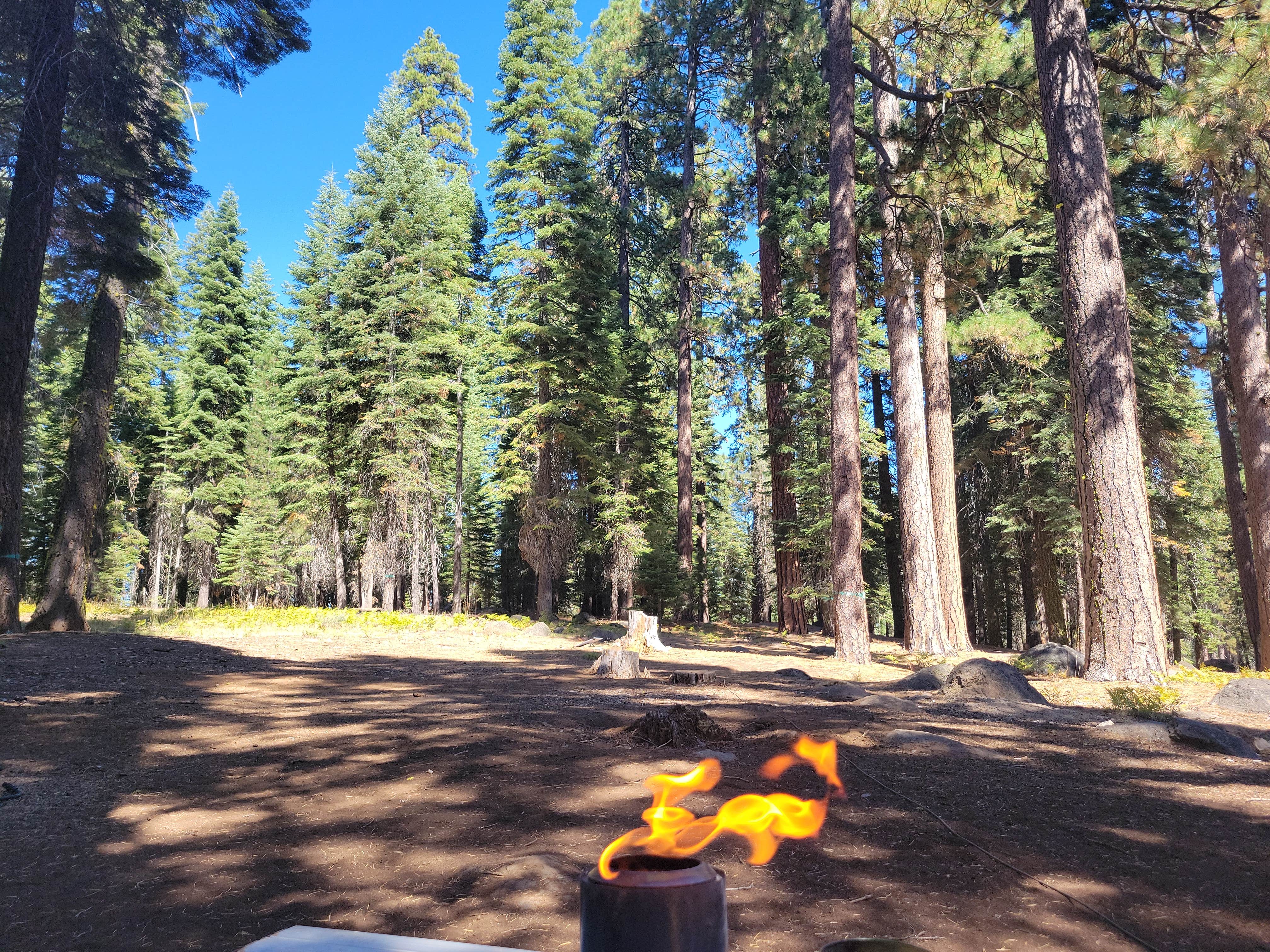 Camper-submitted photo at Almanor near Chester, CA