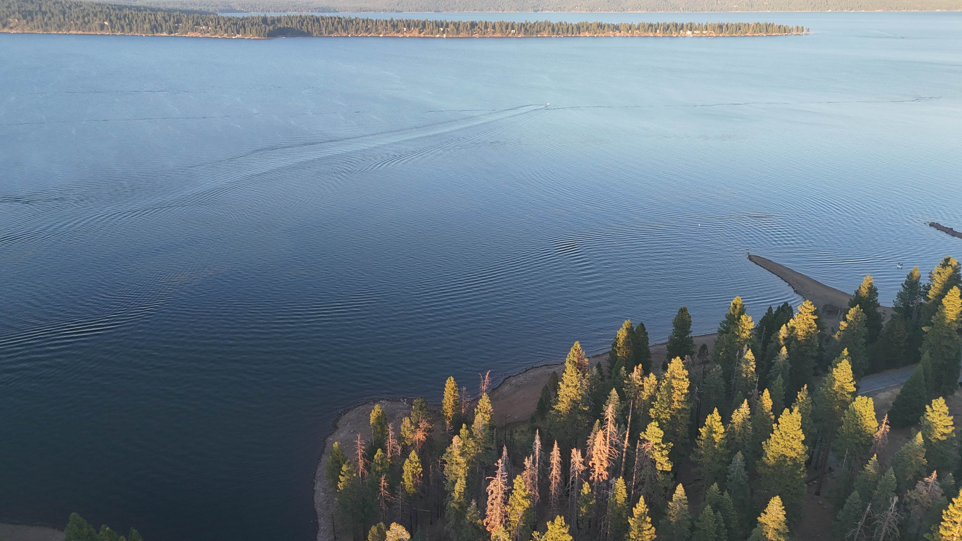 Camper-submitted photo at Almanor near Chester, CA