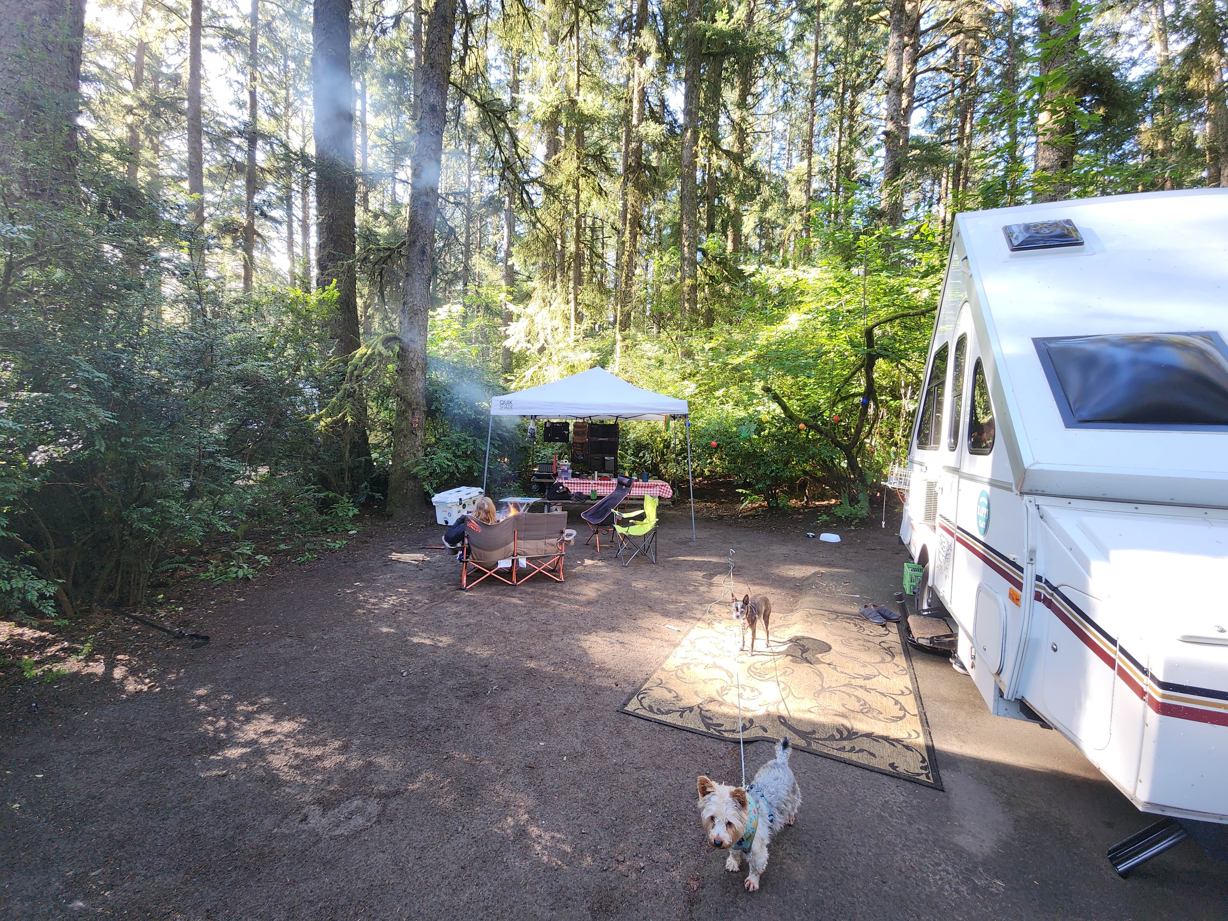 Mike's photo of camping with pets at Fort Stevens State Park Campground near Warrenton, OR