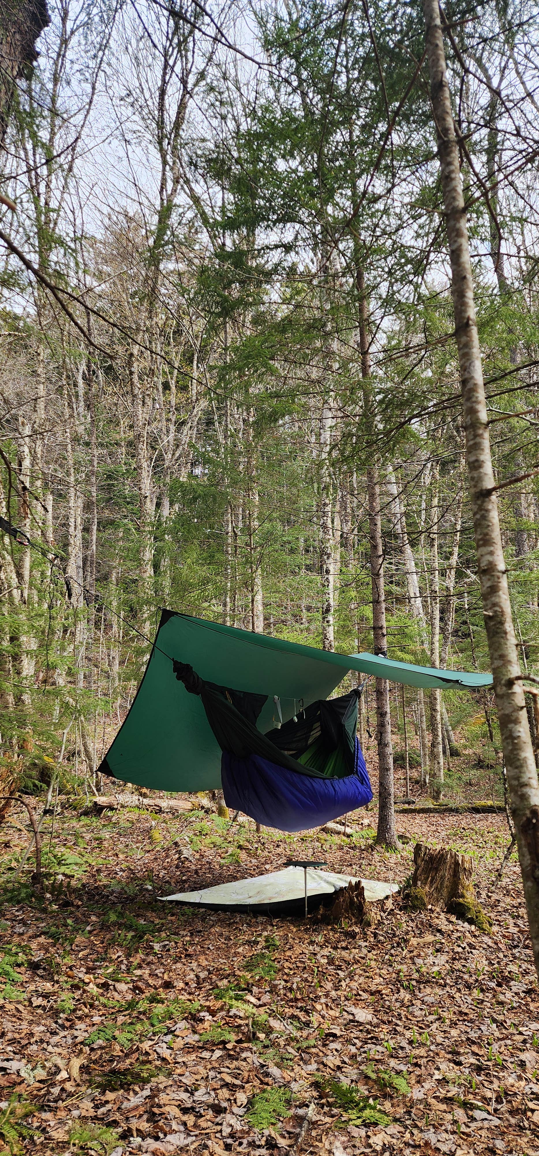 Miccal  M.'s photo of a dispersed camping area at Patterson Brookside camp on West Hill Road near Winooski, VT