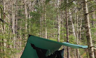 Miccal M.'s photo of a dispersed camping area at Patterson Brookside camp on West Hill Road near Stowe, VT