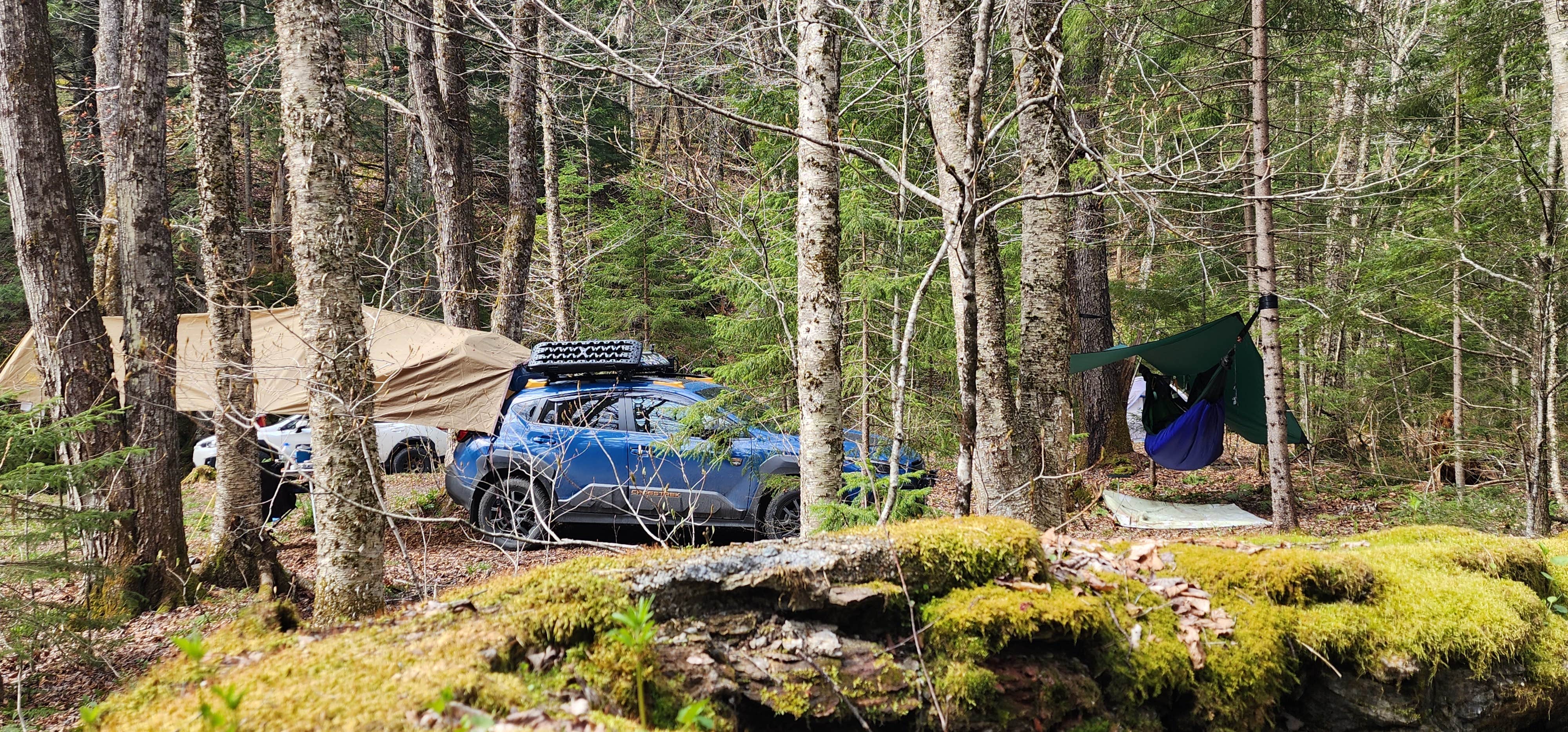 Camper-submitted photo at Patterson Brookside camp on West Hill Road near Bradford, VT