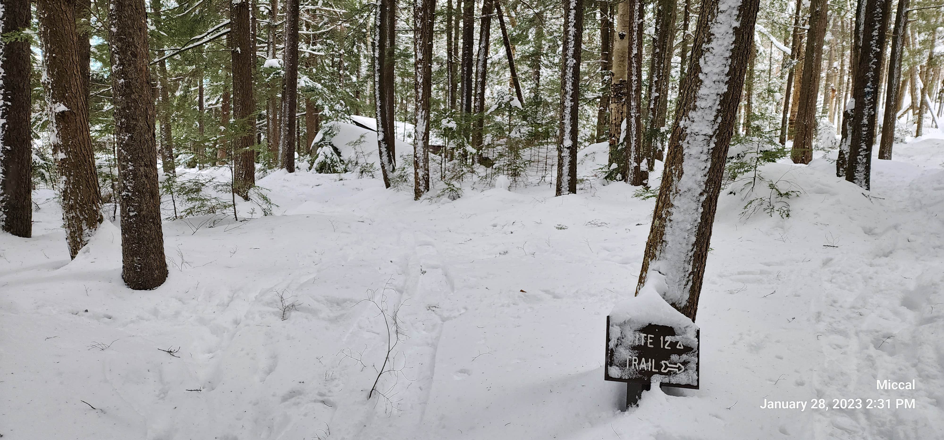 Camper-submitted photo at Kettle Pond State Park Campground near Barre, VT