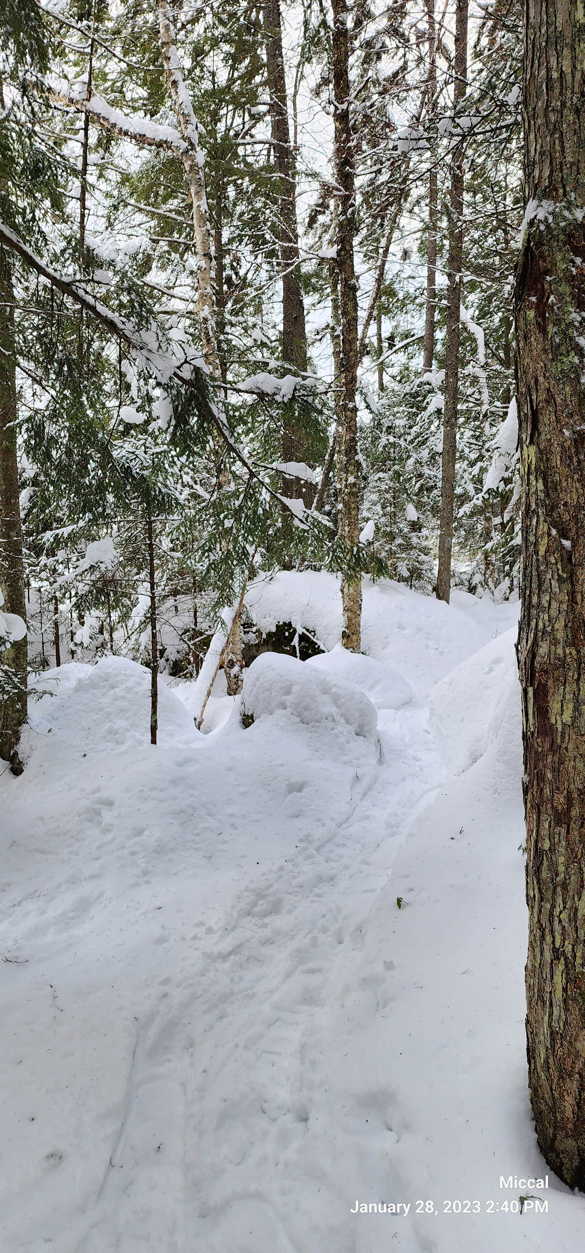Camper-submitted photo at Kettle Pond State Park Campground near Barre, VT