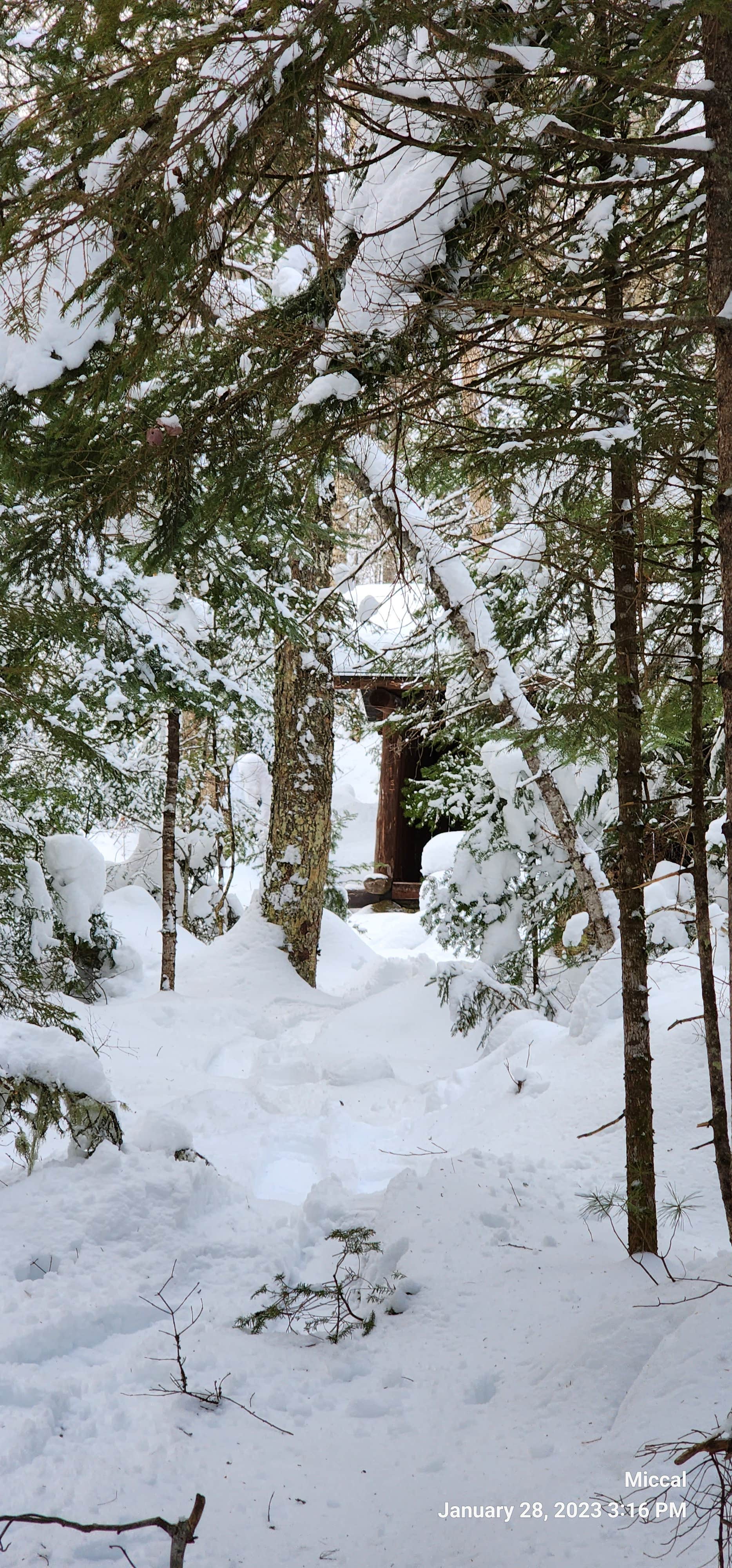 Camper-submitted photo at Kettle Pond State Park Campground near Barre, VT