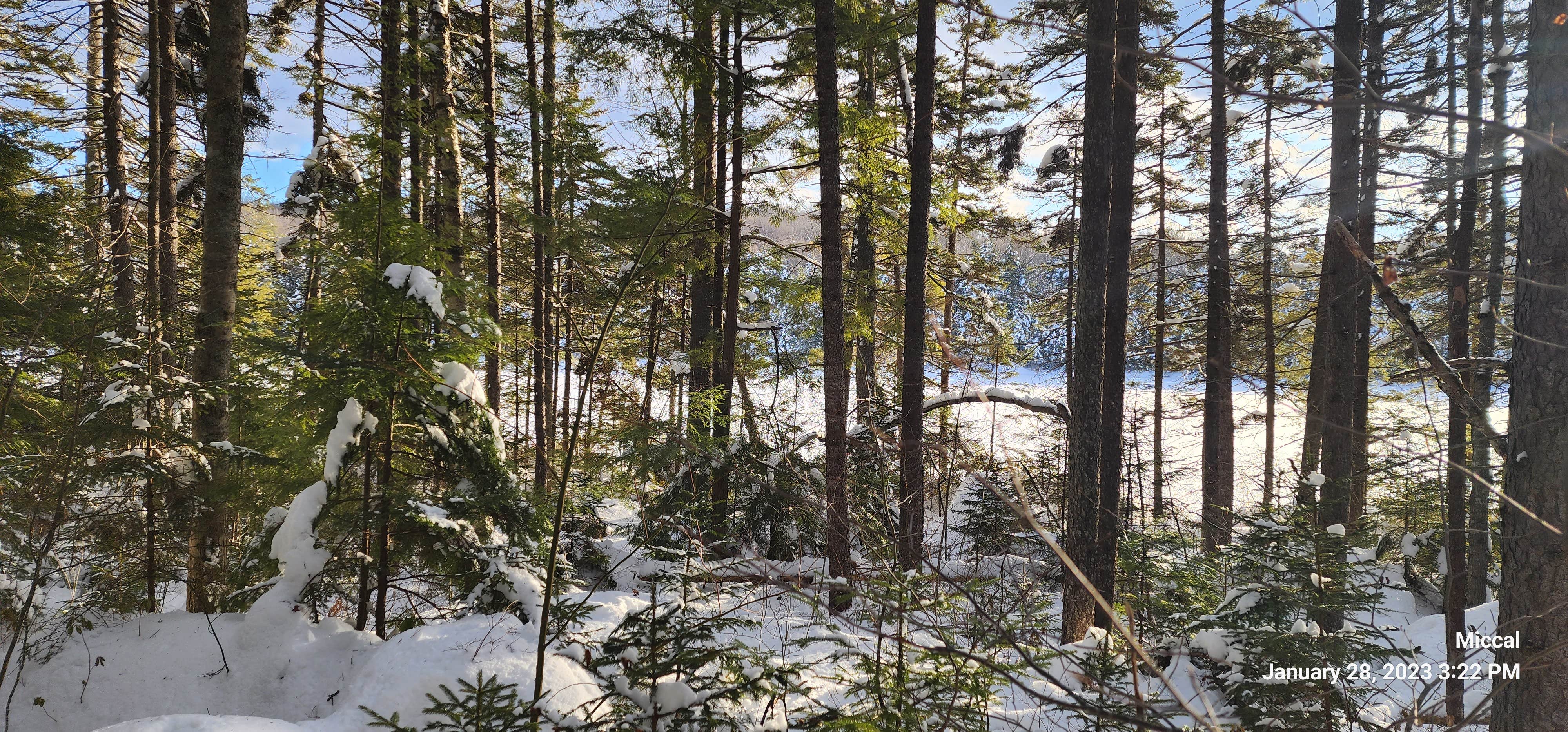 Camper-submitted photo at Kettle Pond State Park Campground near Barre, VT