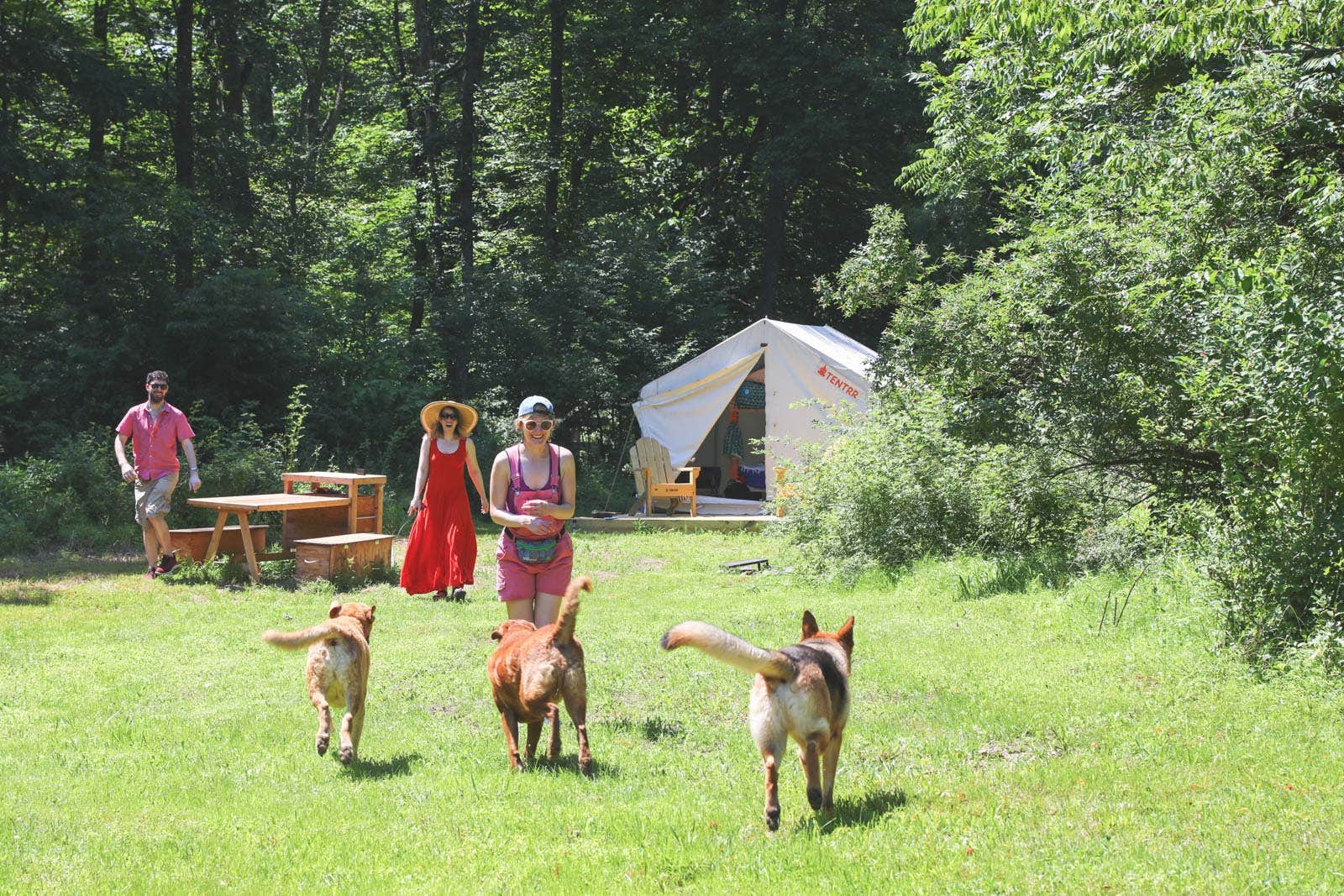 The Dyrt's photo of camping with pets at Arrowhead Farm Stables near Edgemont, PA