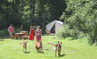 The Dyrt's photo of camping with pets at Arrowhead Farm Stables near Maple Glen, PA