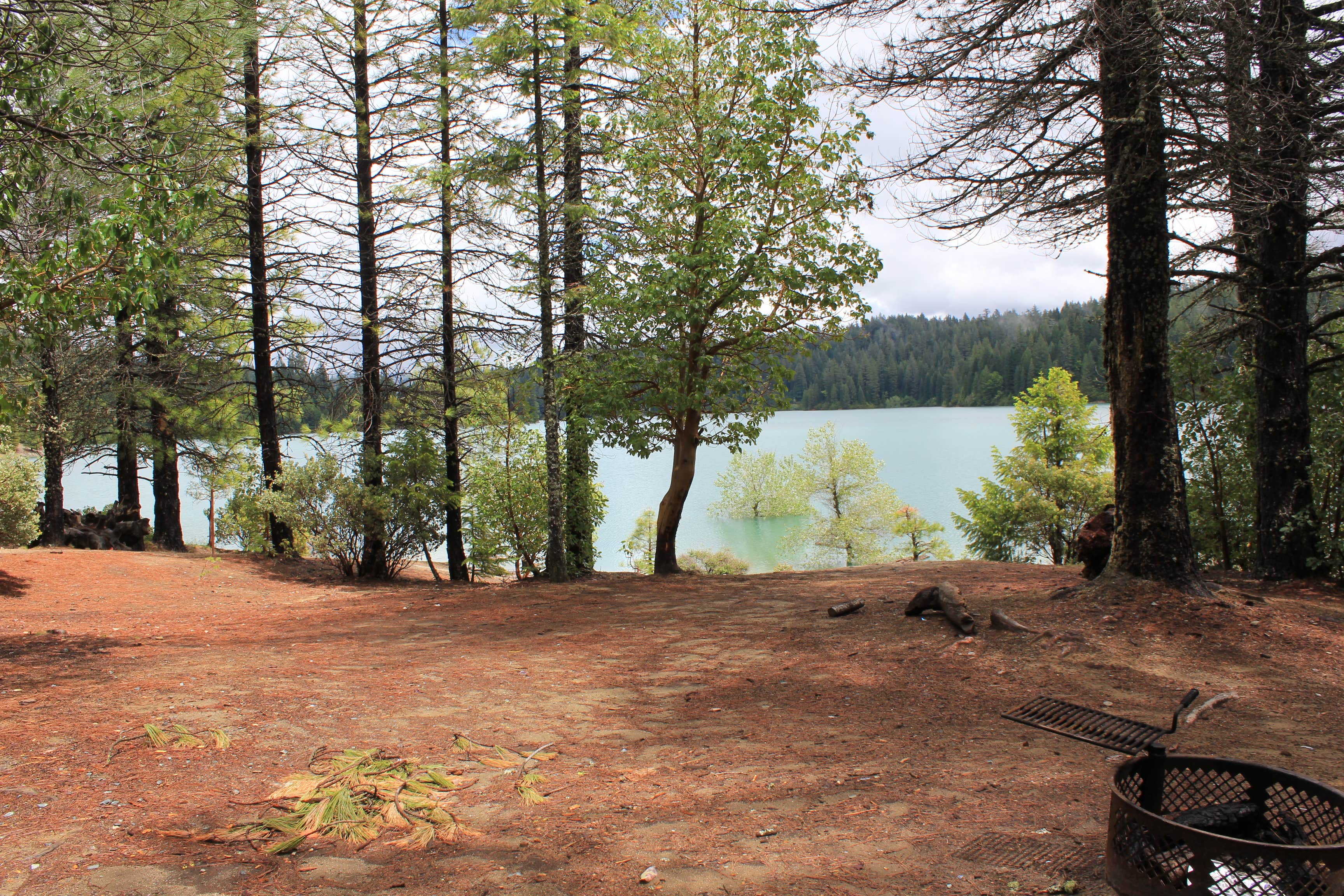 Camper-submitted photo at Plumas National Forest Sly Creek Campground near Strawberry Valley, CA