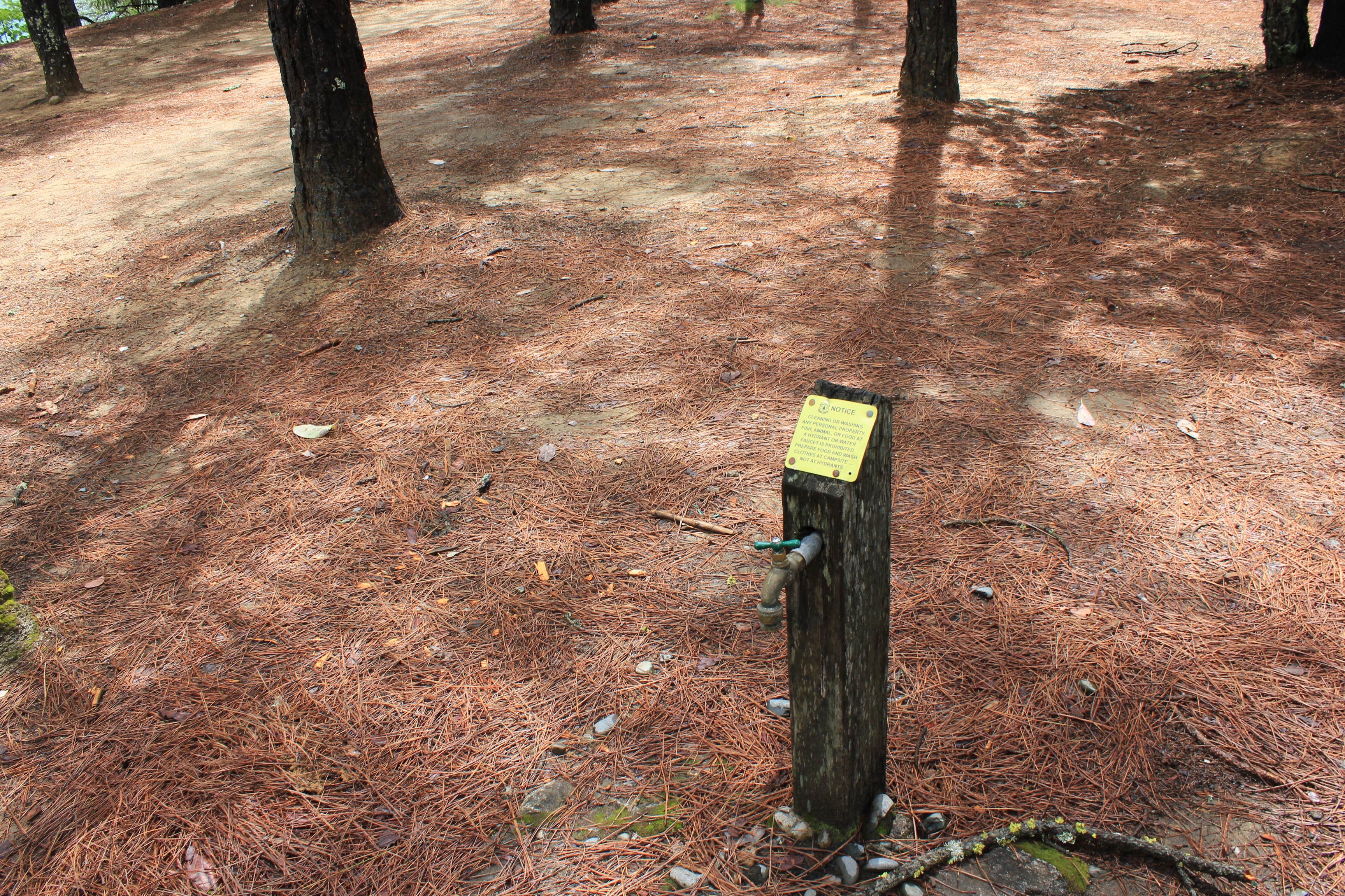 Camper submitted image from Plumas National Forest Sly Creek Campground - 2