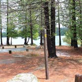 Review photo of Plumas National Forest Sly Creek Campground by Patricia N., September 24, 2024