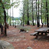 Review photo of Plumas National Forest Sly Creek Campground by Patricia N., September 24, 2024