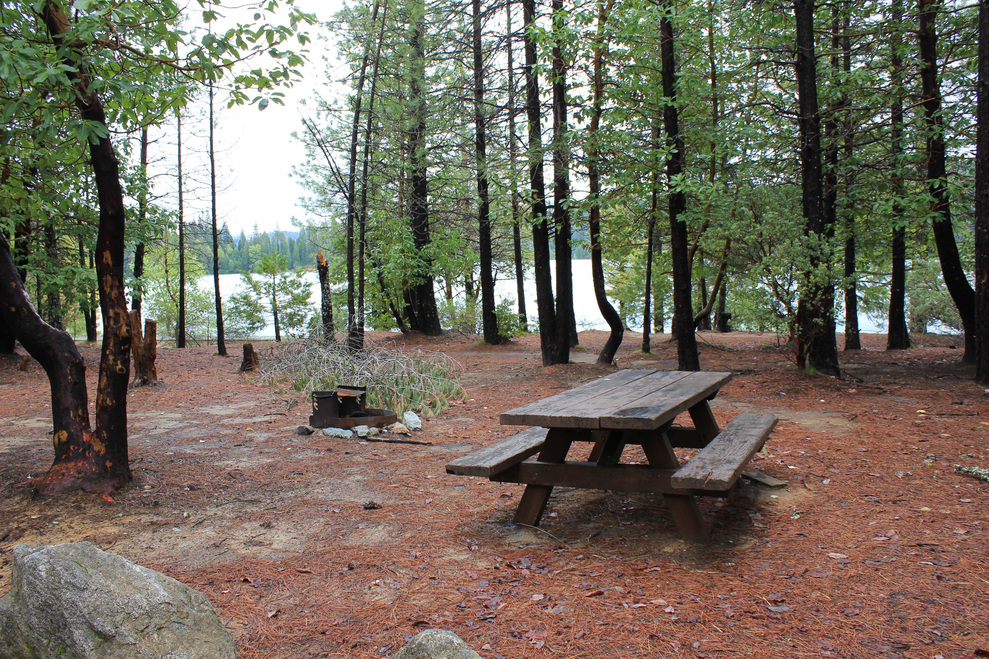 Camper submitted image from Plumas National Forest Sly Creek Campground - 3