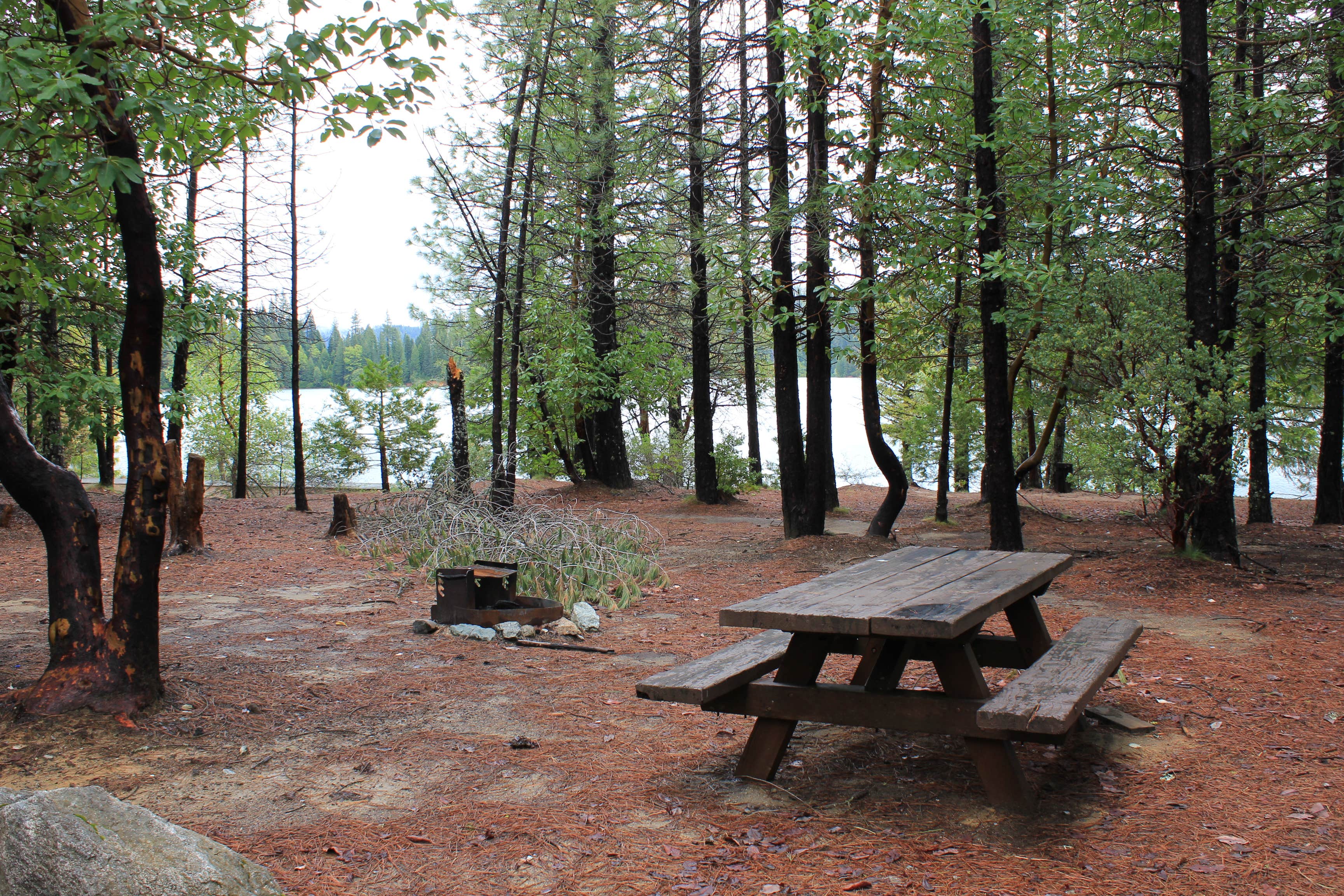 Camper-submitted photo at Plumas National Forest Sly Creek Campground near Strawberry Valley, CA