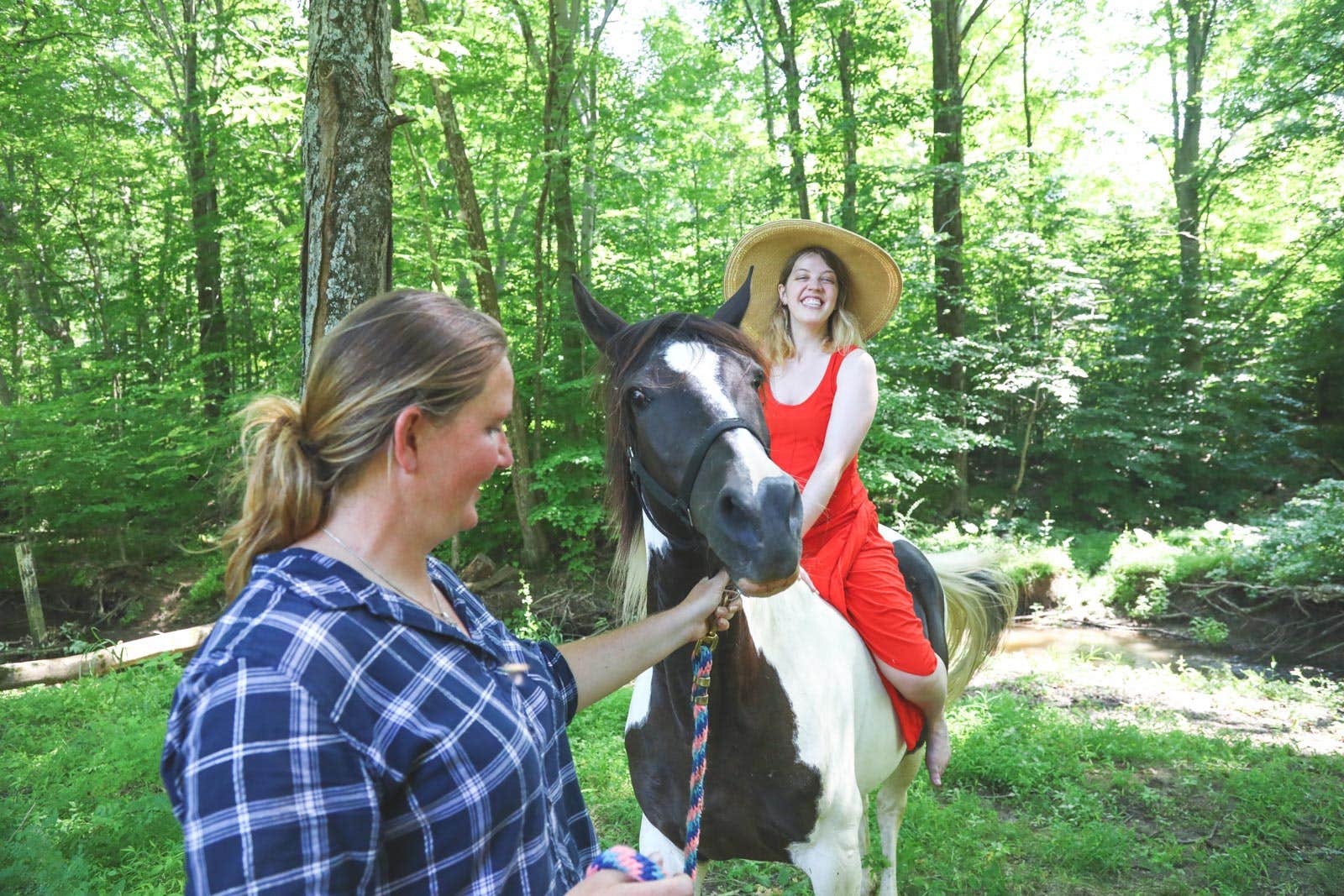 The Dyrt's photo of camping with a horse at Arrowhead Farm Stables near Somerdale, NJ