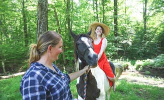 The Dyrt's photo of camping with a horse at Arrowhead Farm Stables near Pennsauken, NJ