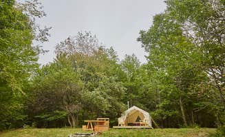 The Dyrt's photo at Nuthatch near North Bennington, VT