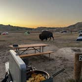 Review photo of Sage Creek Campground by Ken G., September 25, 2024