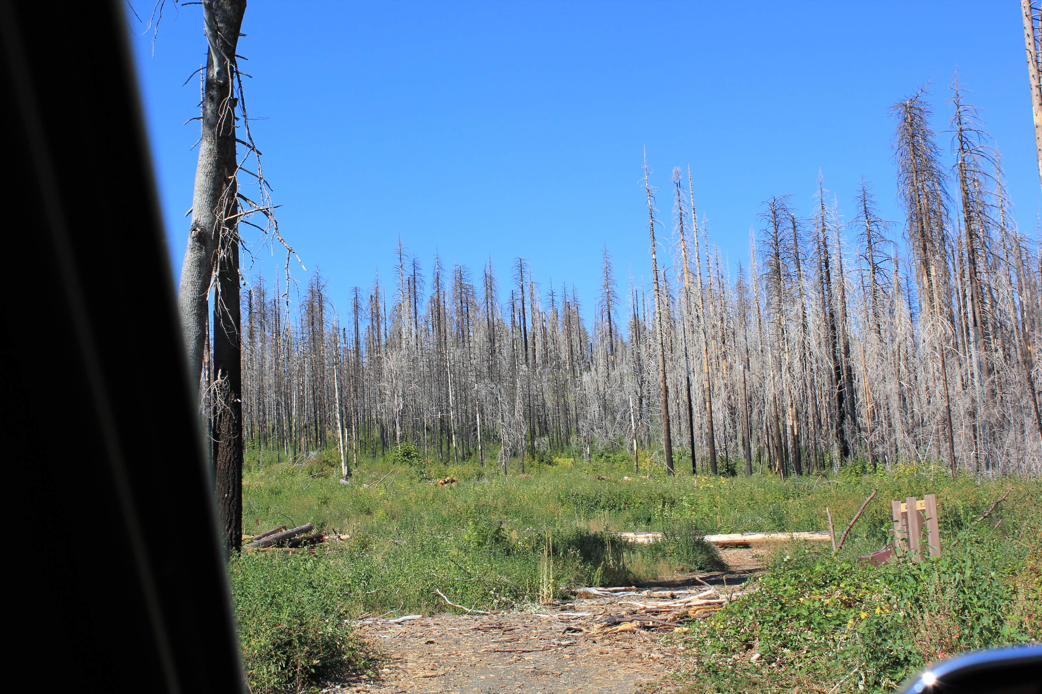 Camper-submitted photo at Rogers Cow Camp near Belden, CA