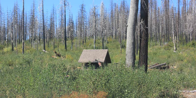 Camper submitted image from Rogers Cow Camp