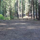 Review photo of Grizzly Creek Campground by Patricia N., September 26, 2024