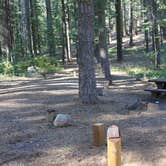 Review photo of Grizzly Creek Campground by Patricia N., September 26, 2024