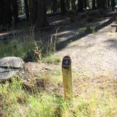 Review photo of Grizzly Creek Campground by Patricia N., September 26, 2024