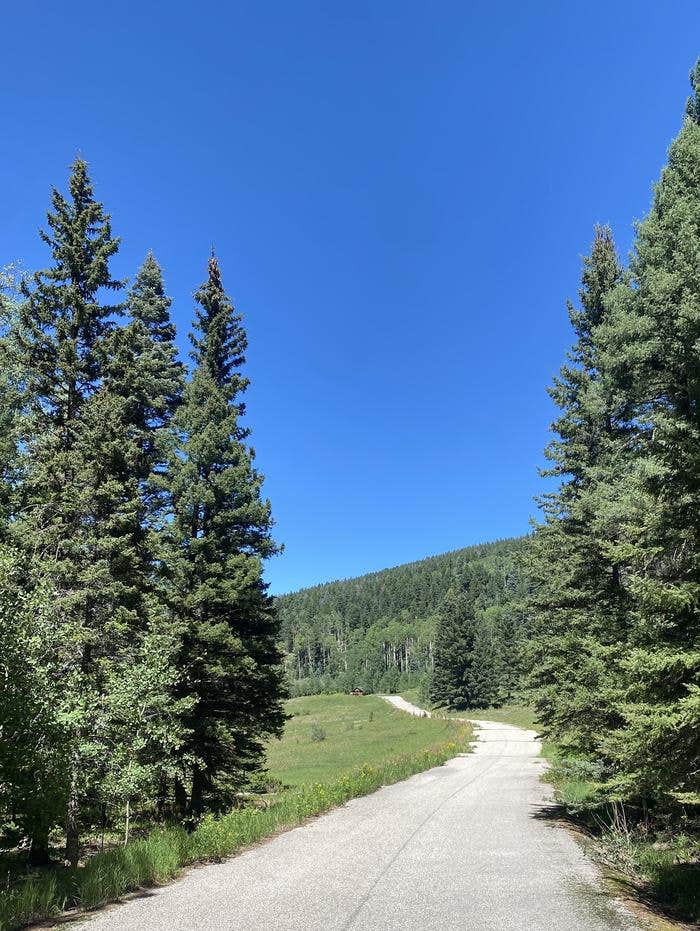 Camper submitted image from Jacks Creek Group Area - 2
