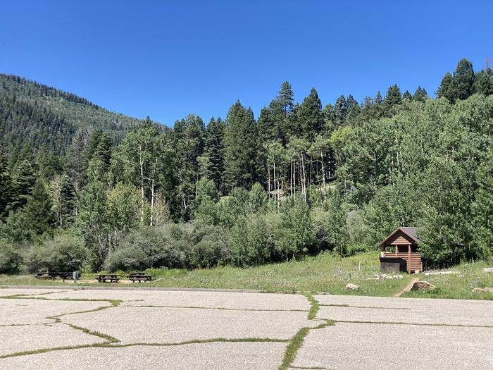Camper submitted image from Jacks Creek Group Area - 2