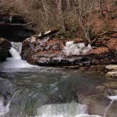 Review photo of Worlds End State Park Campground by Christine  D., September 15, 2016