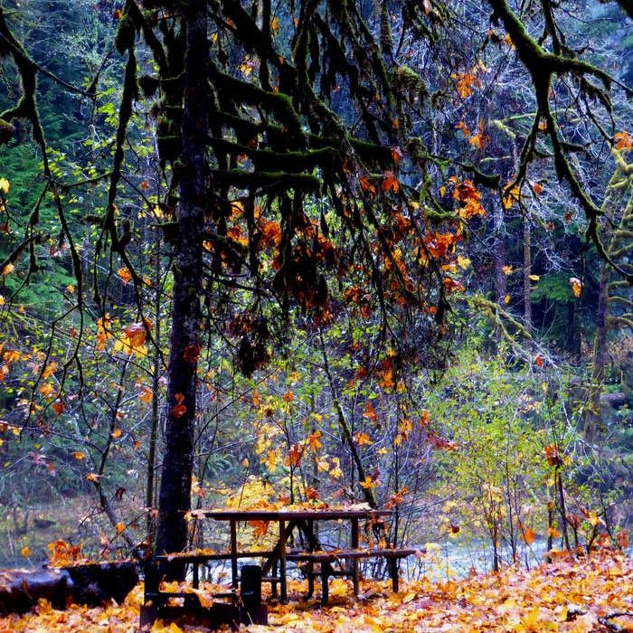 Staircase Campground — Olympic National Park