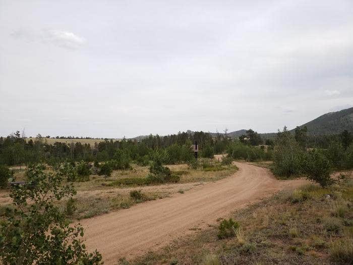 Camper submitted image from Yellow Pine Campground (Wy) - 4