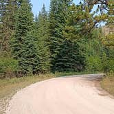 Review photo of Spring Creek Road by Tim K., September 28, 2024