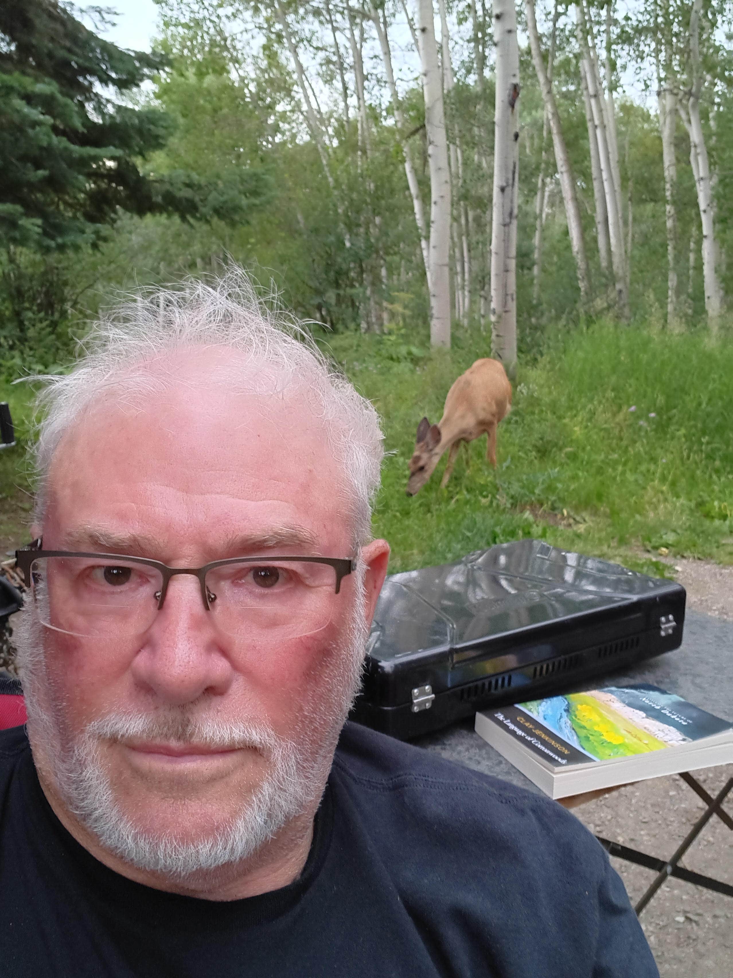 Camper submitted image from McClure Campground - 4