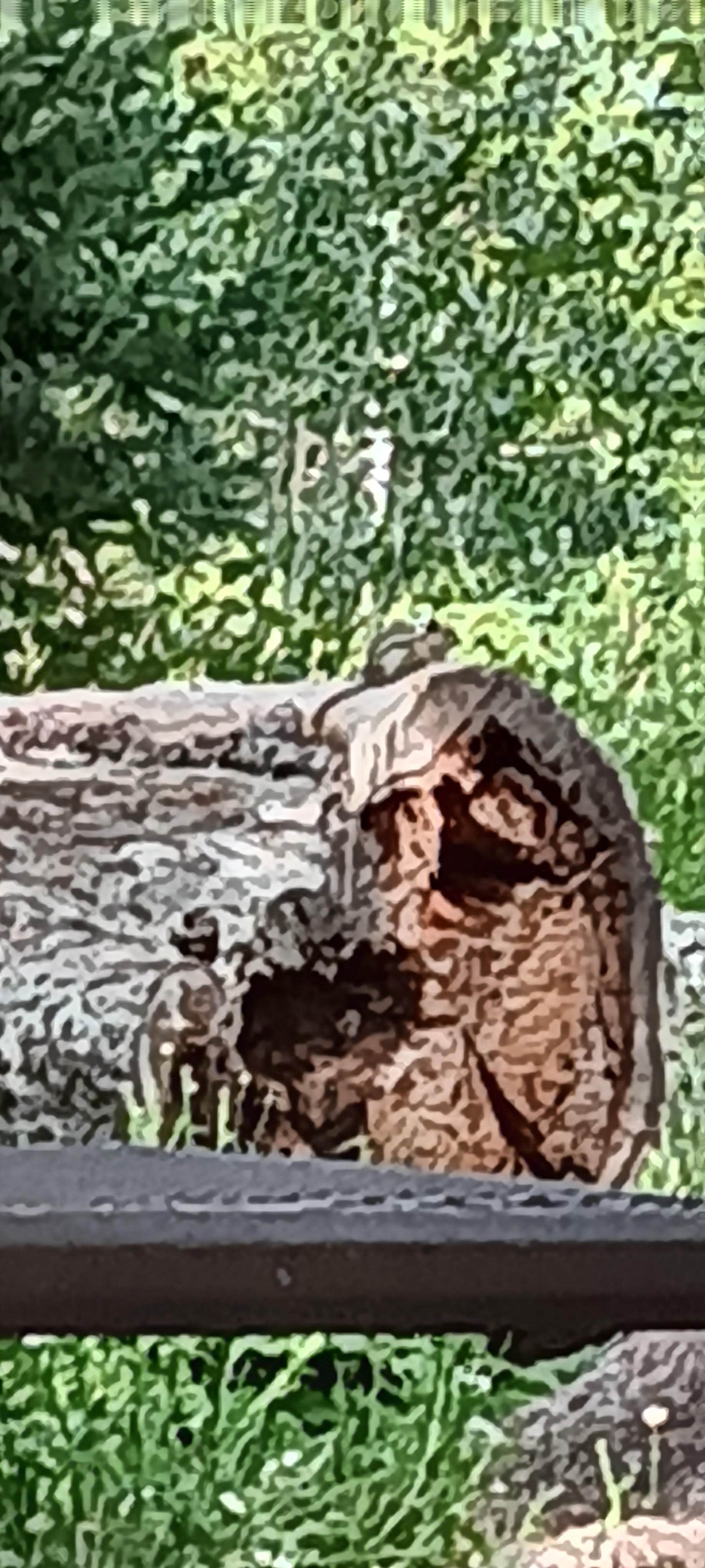 Camper-submitted photo at McClure Campground near Gunnison National Forest
