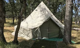 The Dyrt's photo at Trank Family Farm Campsite near Gridley, CA