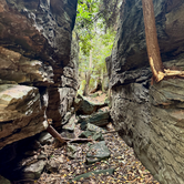 Review photo of Coopers Rock State Forest by Jeff H., September 30, 2024