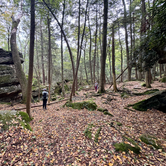 Review photo of Coopers Rock State Forest by Jeff H., September 30, 2024