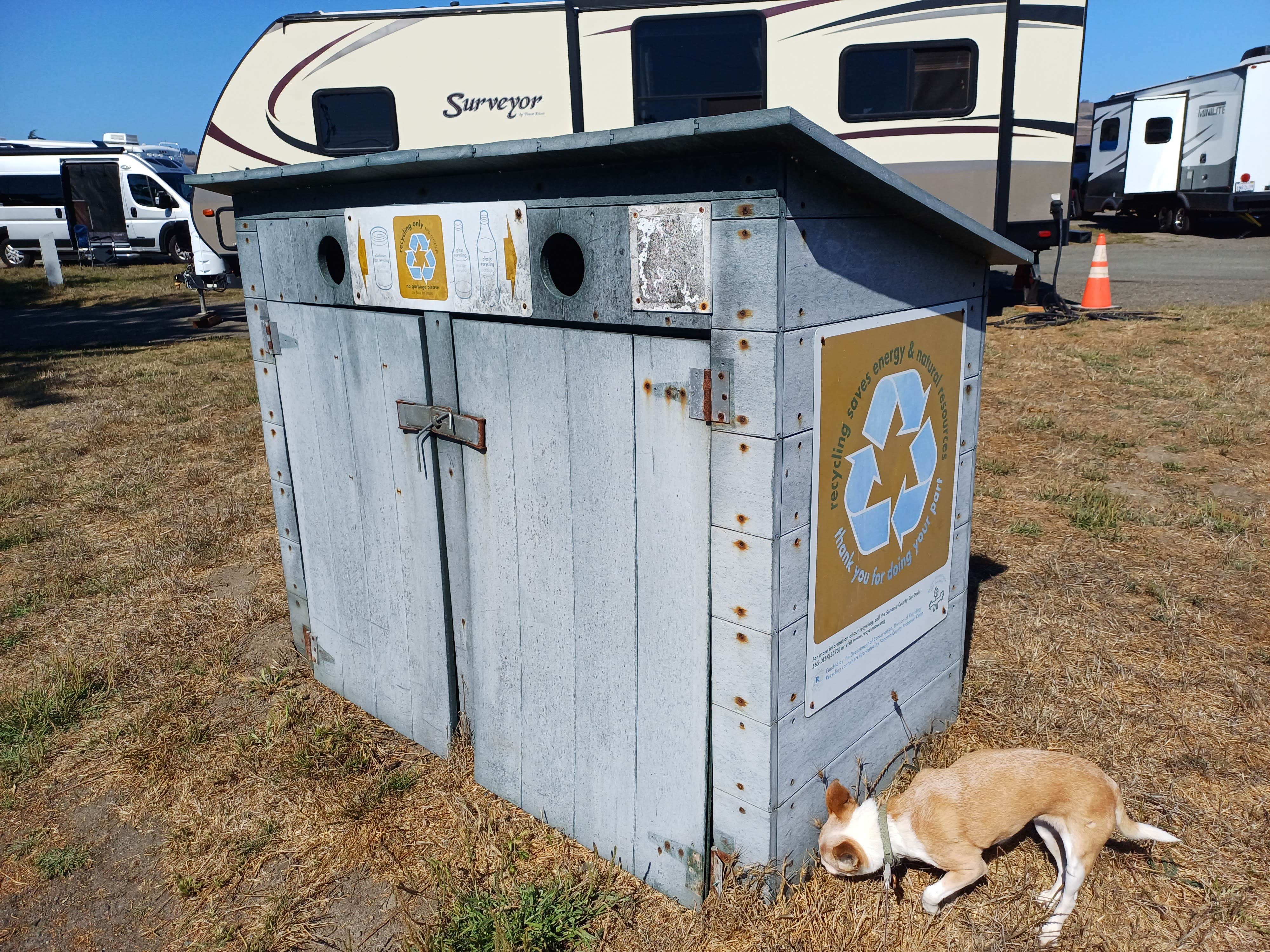 Laura M.'s photo of camping with pets at Westside Regional Park near Rohnert Park, CA
